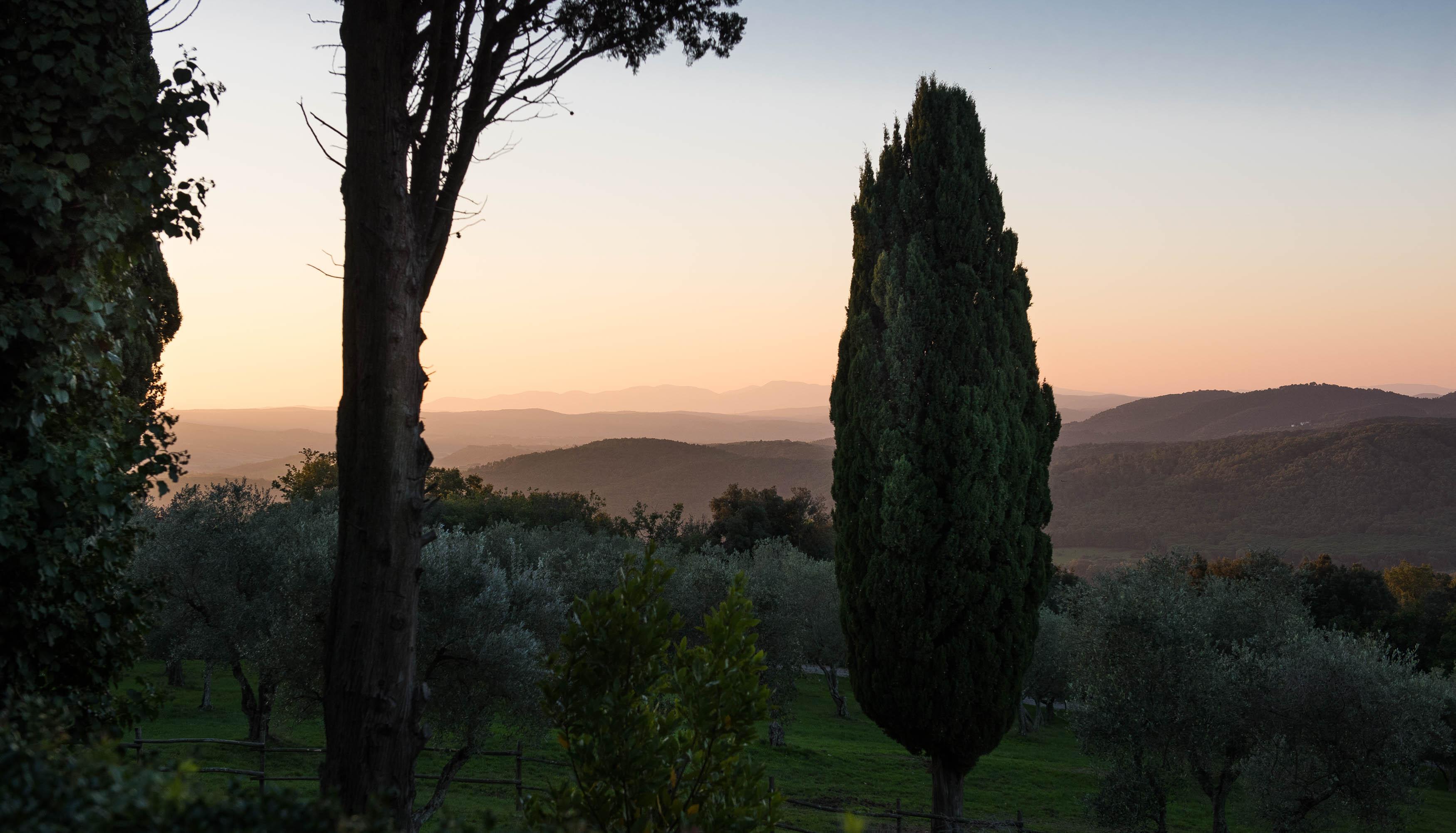 Tenuta La Bandita Sassetta Kültér fotó