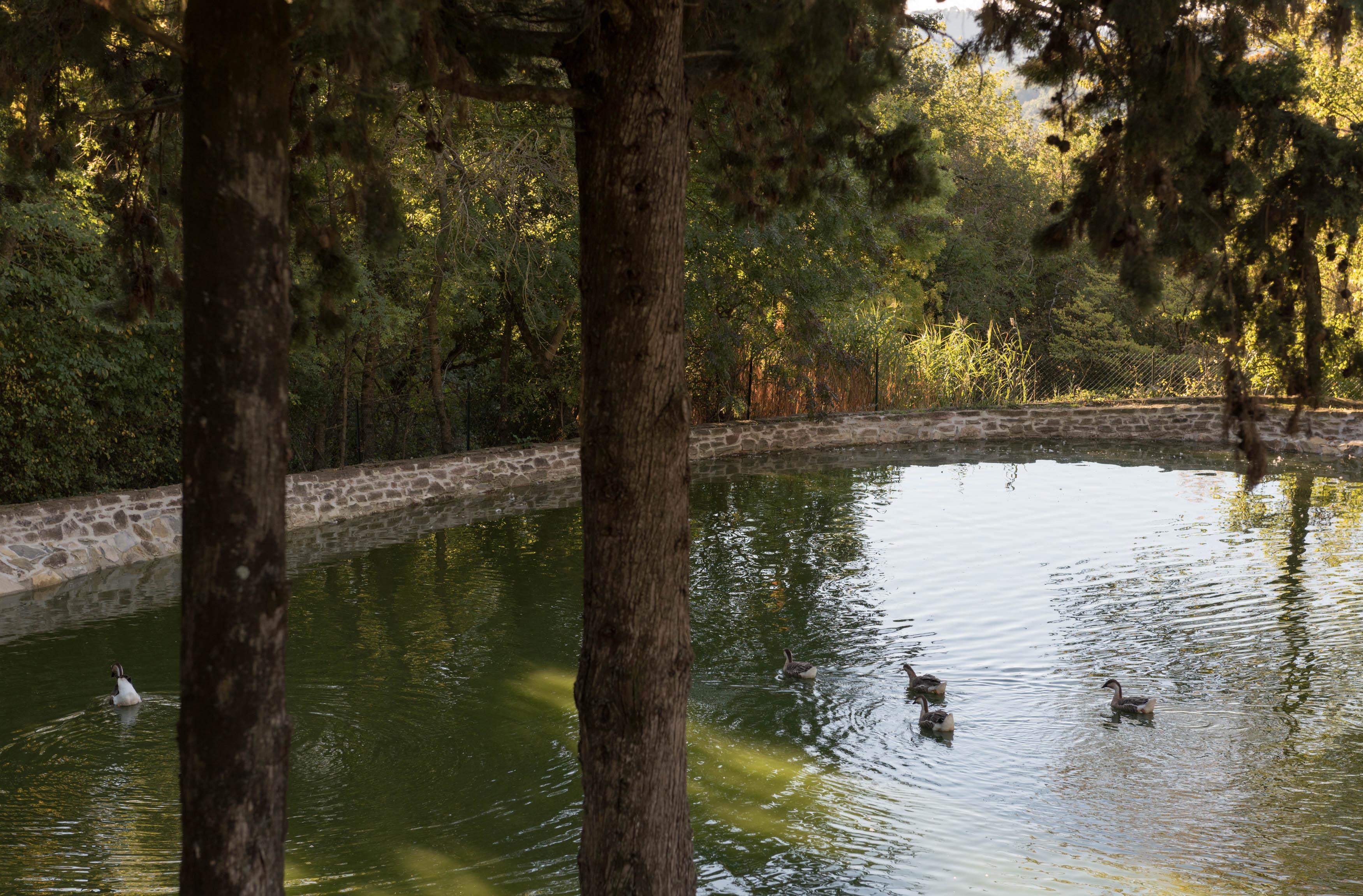 Tenuta La Bandita Sassetta Kültér fotó