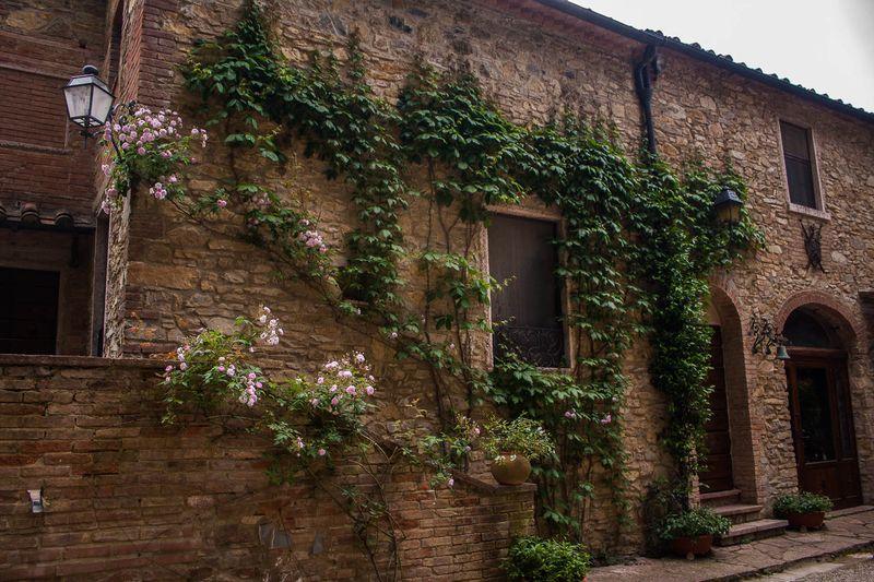 Tenuta La Bandita Sassetta Kültér fotó